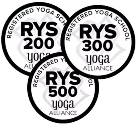  Yoga School In Rishikesh